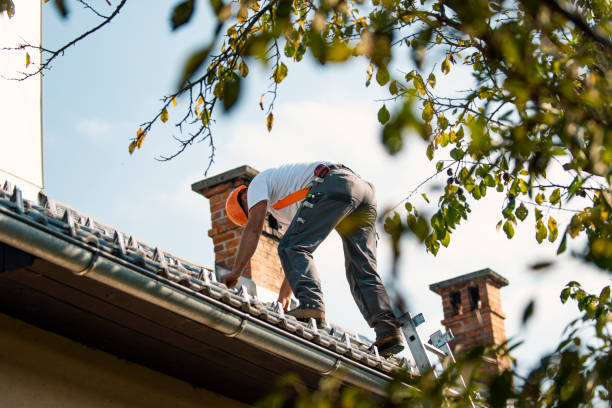 Best Emergency Roof Repair  in Dadeville, AL