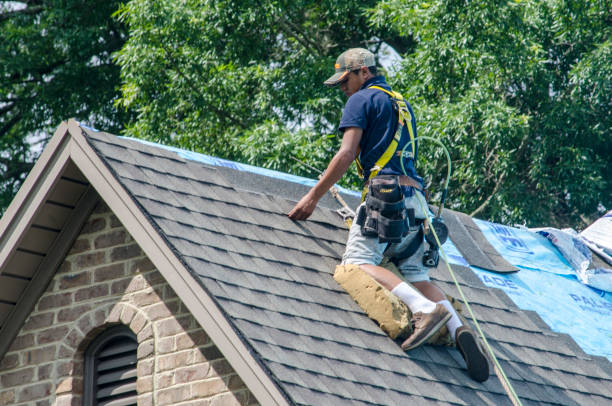 Best Storm Damage Roof Repair  in Dadeville, AL
